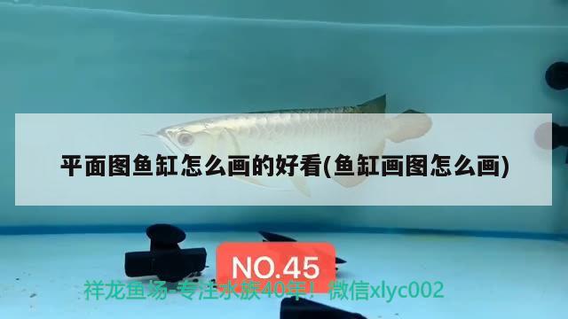 平面圖魚缸怎么畫的好看(魚缸畫圖怎么畫) 喂食器