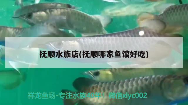 撫順?biāo)宓?撫順哪家魚(yú)館好吃)