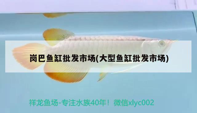 崗巴魚缸批發(fā)市場(大型魚缸批發(fā)市場) 印尼虎苗