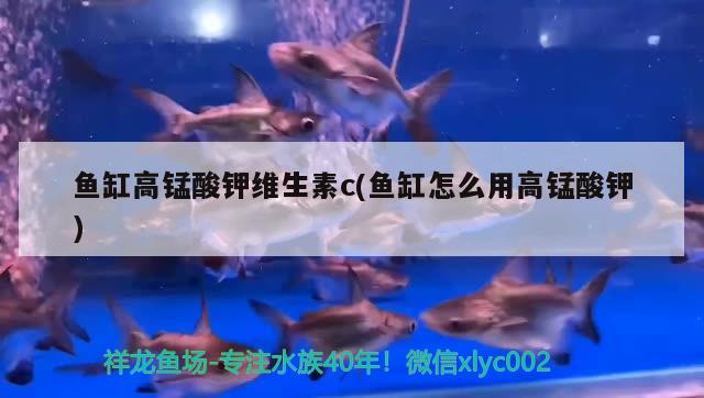 魚缸高錳酸鉀維生素c(魚缸怎么用高錳酸鉀)