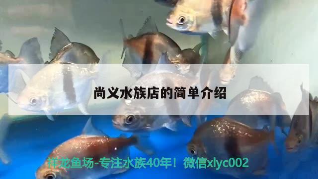 尚義水族店的簡單介紹