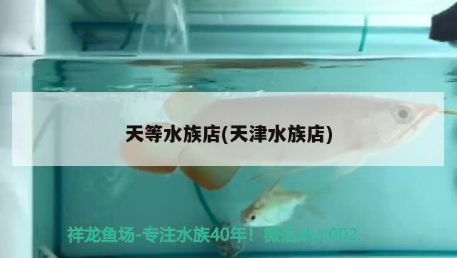 天等水族店(天津水族店) 財(cái)神鸚鵡魚(yú)