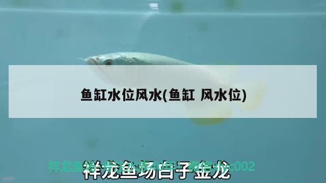 魚缸水位風(fēng)水(魚缸風(fēng)水位) 魚缸風(fēng)水