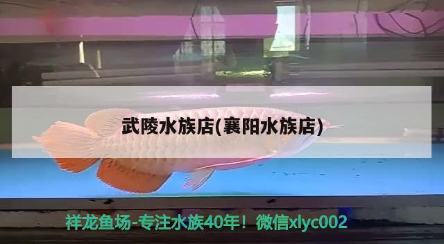 武陵水族店(襄陽水族店) 水族品牌