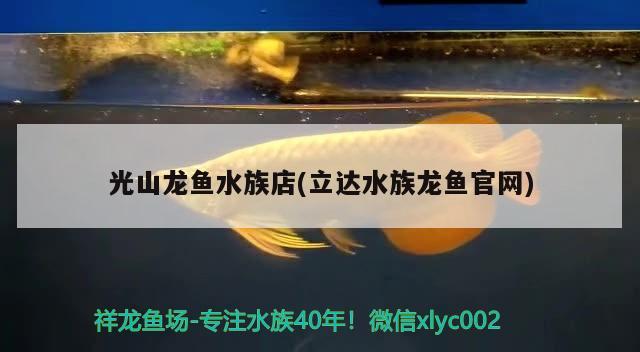 光山龍魚水族店(立達水族龍魚官網(wǎng))