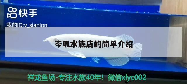 岑鞏水族店的簡單介紹 細線銀版魚