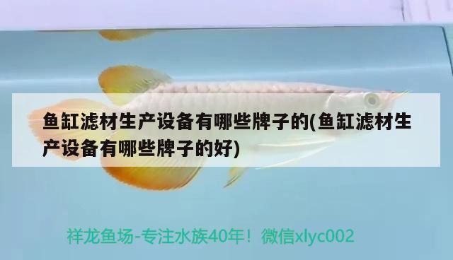 魚缸濾材生產(chǎn)設(shè)備有哪些牌子的(魚缸濾材生產(chǎn)設(shè)備有哪些牌子的好) 七紋巨鯉魚