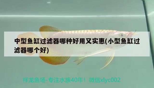 中型魚缸過濾器哪種好用又實(shí)惠(小型魚缸過濾器哪個好) 過濾設(shè)備