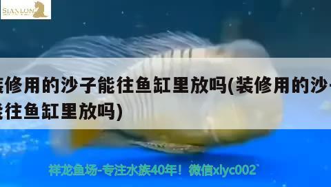 裝修用的沙子能往魚缸里放嗎(裝修用的沙子能往魚缸里放嗎) 飛鳳魚苗