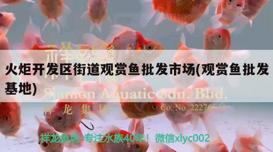 火炬開發(fā)區(qū)街道觀賞魚批發(fā)市場(觀賞魚批發(fā)基地) 觀賞魚批發(fā)