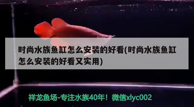 時尚水族魚缸怎么安裝的好看(時尚水族魚缸怎么安裝的好看又實用)