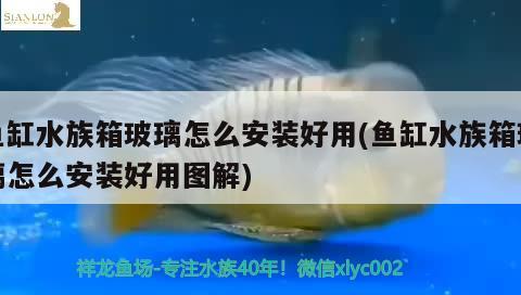 魚缸水族箱玻璃怎么安裝好用(魚缸水族箱玻璃怎么安裝好用圖解)