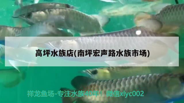 高坪水族店(南坪宏聲路水族市場(chǎng))