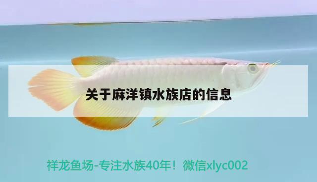 關于麻洋鎮(zhèn)水族店的信息 飛鳳魚