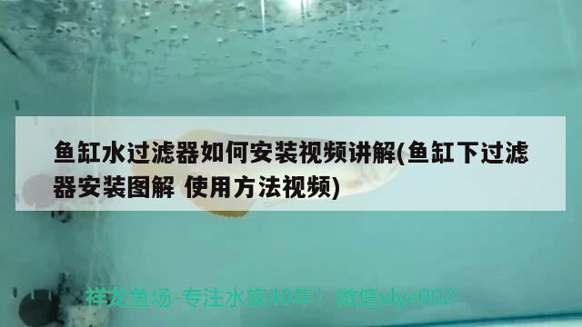 魚(yú)缸水過(guò)濾器如何安裝視頻講解(魚(yú)缸下過(guò)濾器安裝圖解使用方法視頻)