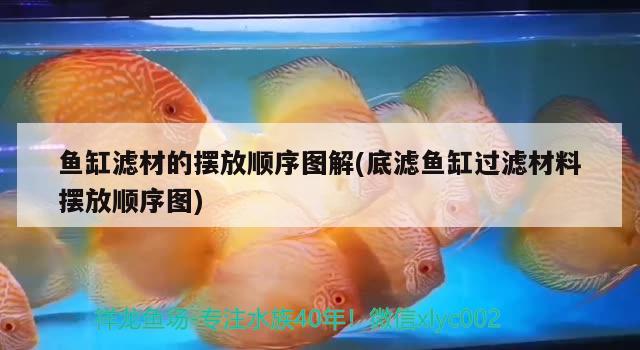 魚缸濾材的擺放順序圖解(底濾魚缸過濾材料擺放順序圖) 觀賞魚市場(chǎng)