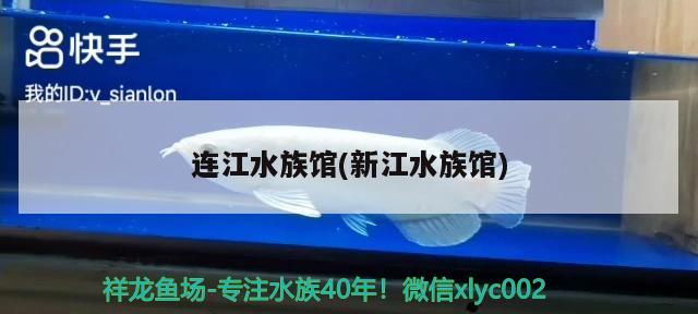 連江水族館(新江水族館) 祥龍魚場(chǎng)品牌產(chǎn)品