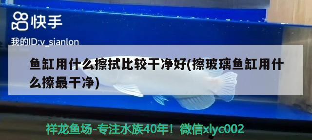 魚缸用什么擦拭比較干凈好(擦玻璃魚缸用什么擦最干凈) 過背金龍魚