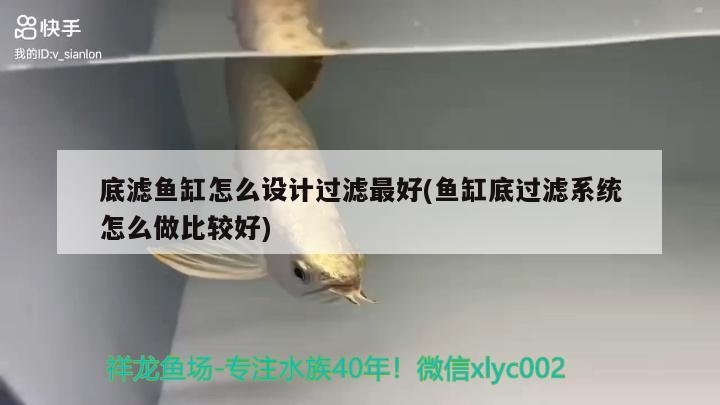 底濾魚缸怎么設(shè)計過濾最好(魚缸底過濾系統(tǒng)怎么做比較好) 賽級紅龍魚