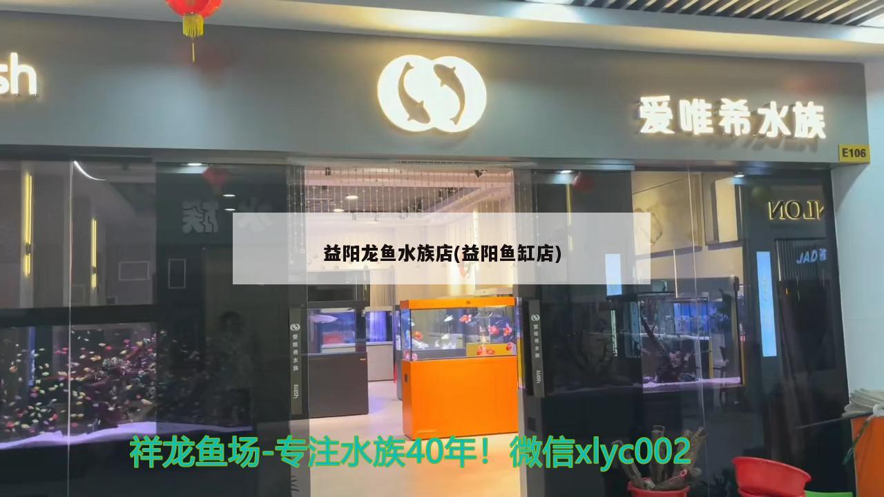 益陽龍魚水族店(益陽魚缸店) 羅漢魚批發(fā)