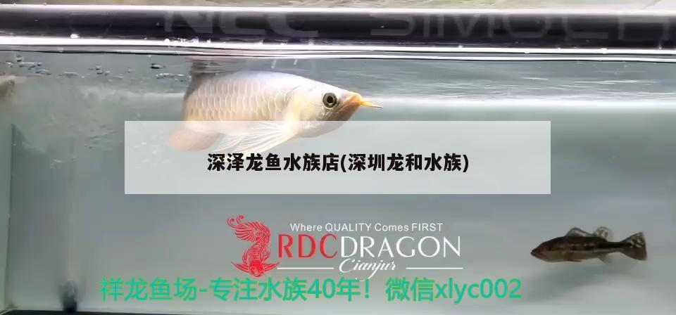 深澤龍魚水族店(深圳龍和水族)