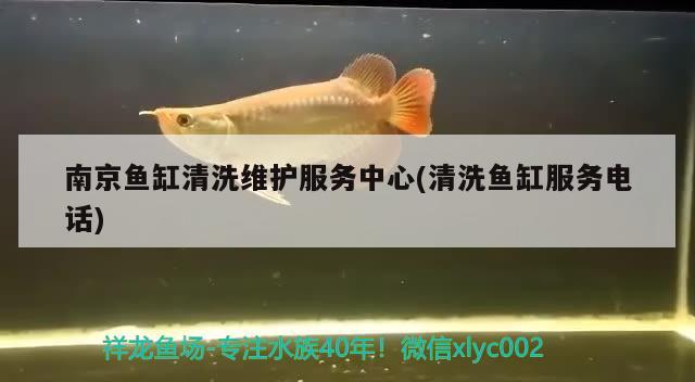 南京魚缸清洗維護(hù)服務(wù)中心(清洗魚缸服務(wù)電話) 潛水泵