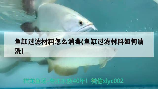 魚缸過濾材料怎么消毒(魚缸過濾材料如何清洗) 玫瑰銀版魚