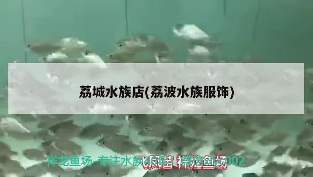 荔城水族店(荔波水族服飾) 祥龍進口元寶鳳凰魚