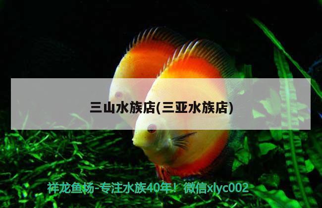 三山水族店(三亞水族店) 養(yǎng)魚知識