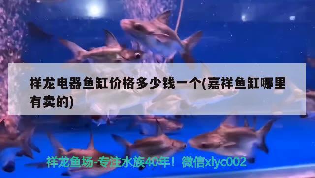 祥龍電器魚缸價格多少錢一個(嘉祥魚缸哪里有賣的) 祥龍龍魚專用水族燈