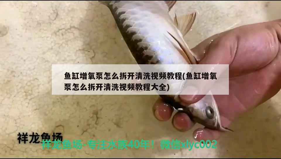 魚缸增氧泵怎么拆開清洗視頻教程(魚缸增氧泵怎么拆開清洗視頻教程大全)