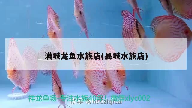 滿城龍魚水族店(縣城水族店)