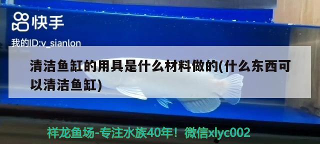 清潔魚缸的用具是什么材料做的(什么東西可以清潔魚缸) 熊貓異形魚L46