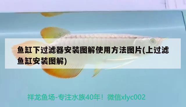 魚(yú)缸下過(guò)濾器安裝圖解使用方法圖片(上過(guò)濾魚(yú)缸安裝圖解)