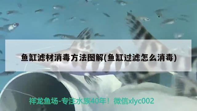 魚缸濾材消毒方法圖解(魚缸過濾怎么消毒)