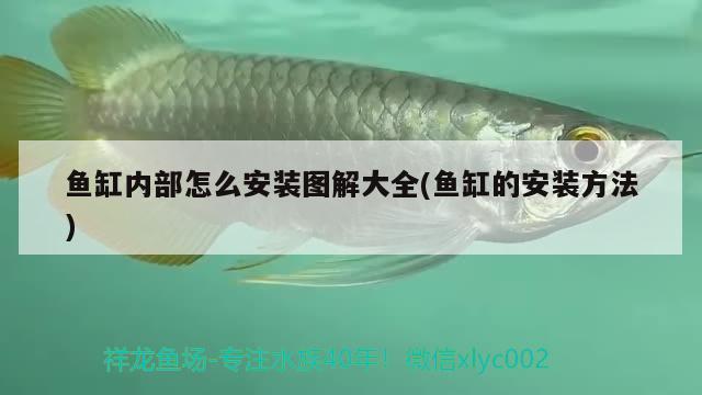 魚缸內(nèi)部怎么安裝圖解大全(魚缸的安裝方法) 藍(lán)帆三間魚