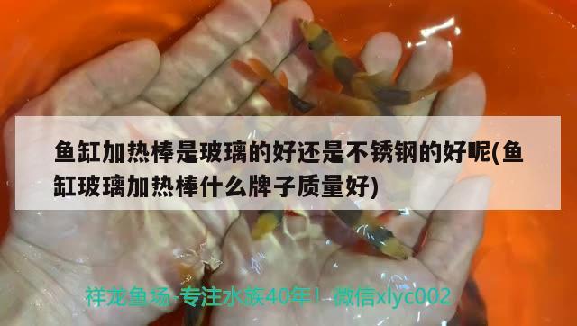 魚缸加熱棒是玻璃的好還是不銹鋼的好呢(魚缸玻璃加熱棒什么牌子質(zhì)量好) 觀賞魚飼料