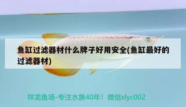 魚缸過濾器材什么牌子好用安全(魚缸最好的過濾器材)