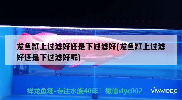 龍魚缸上過濾好還是下過濾好(龍魚缸上過濾好還是下過濾好呢) 充氧泵