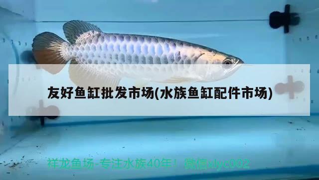 友好魚缸批發(fā)市場(水族魚缸配件市場) 觀賞魚水族批發(fā)市場