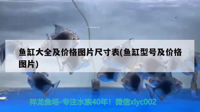 魚缸大全及價格圖片尺寸表(魚缸型號及價格圖片)