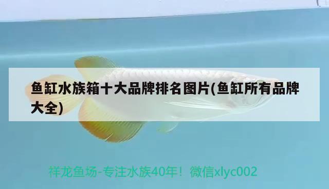 魚缸水族箱十大品牌排名圖片(魚缸所有品牌大全) 魚缸/水族箱