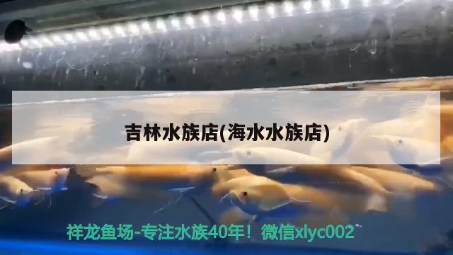 吉林水族店(海水水族店) 白子銀龍魚苗