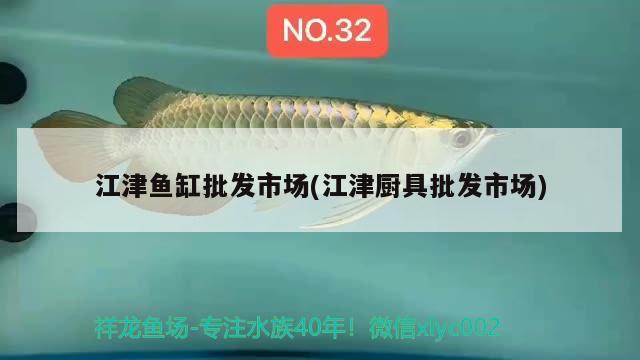 江津魚缸批發(fā)市場(江津廚具批發(fā)市場) 七彩神仙魚 第2張