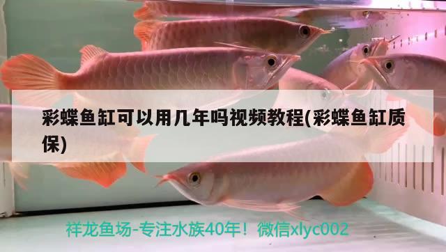 彩蝶魚缸可以用幾年嗎視頻教程(彩蝶魚缸質保)