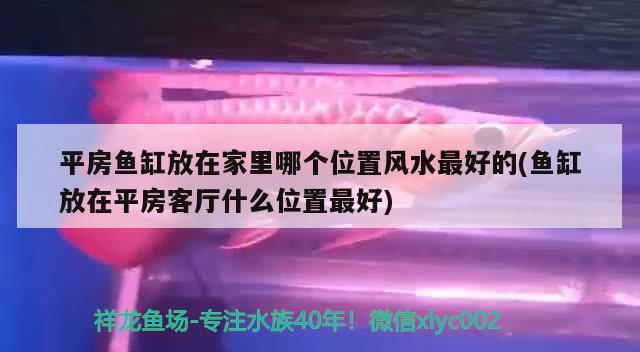 平房魚缸放在家里哪個(gè)位置風(fēng)水最好的(魚缸放在平房客廳什么位置最好)