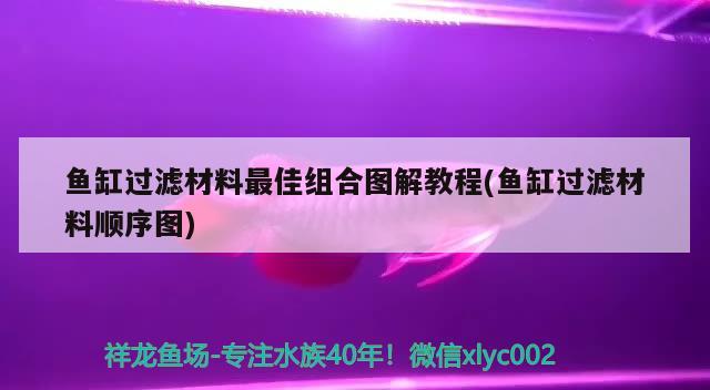 魚缸過濾材料最佳組合圖解教程(魚缸過濾材料順序圖) 奈及利亞紅圓點(diǎn)狗頭