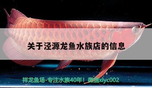 關(guān)于涇源龍魚(yú)水族店的信息