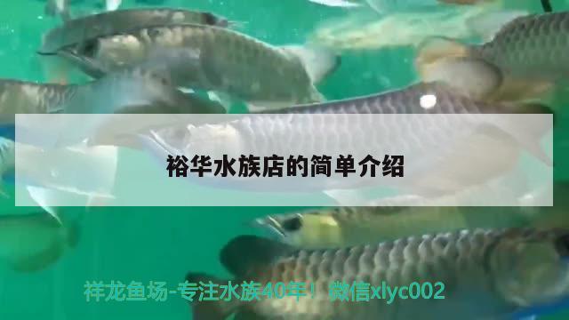 裕華水族店的簡(jiǎn)單介紹 金三間魚(yú)