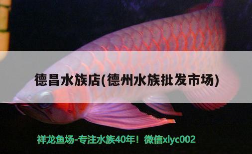 德昌水族店(德州水族批發(fā)市場)